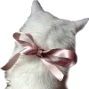🎀