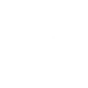 ♟