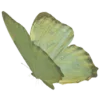 🍀