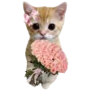 🤩