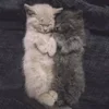 🥰