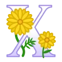 🌼