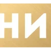 🟠