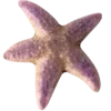 ⭐