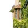 🏡