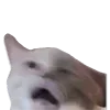 🫠