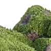 🪷