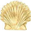 🐚