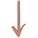 🌵