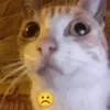 ☹️