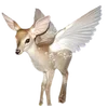 🌟