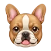 🐶