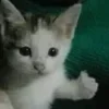 👍
