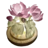 🪷