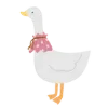 🪿