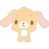 🌟