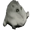 🦾