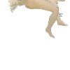 🦢