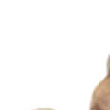 🐰