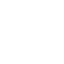 🫡
