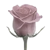 🌹