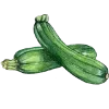 🌱