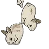 🐰