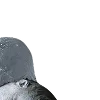 🌬️