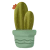 🌵