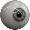 👁️