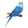 🦜
