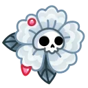 🌺
