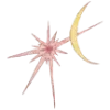 🌟