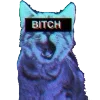 🐱
