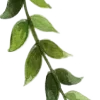 🌿