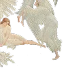 🦢