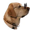 😎