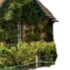 🏡