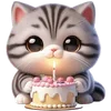 🎂