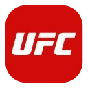 🥊
