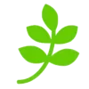 🌿