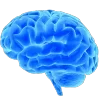 🧠