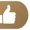 🟠