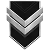 🎖