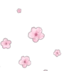 🌸