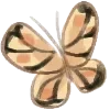 🦋