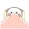 🛌