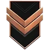 🎖