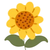 🌻