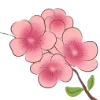 🌸